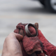 Illustration for article titled How A Quick Repair Turns Into A Parking Lot Mechanic Quagmire